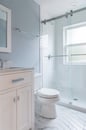 Bathroom remodel in Libertyville, Illinois