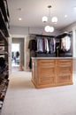 BDS primary bathroom and closet remodel in Libertyville, Illinois